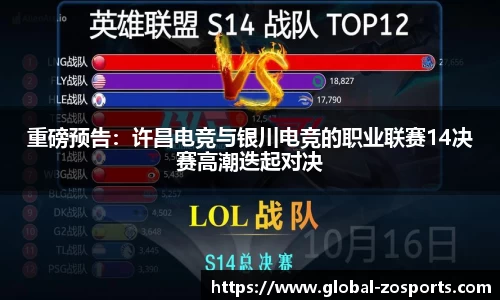 中欧体育