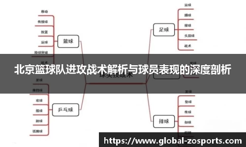 中欧体育